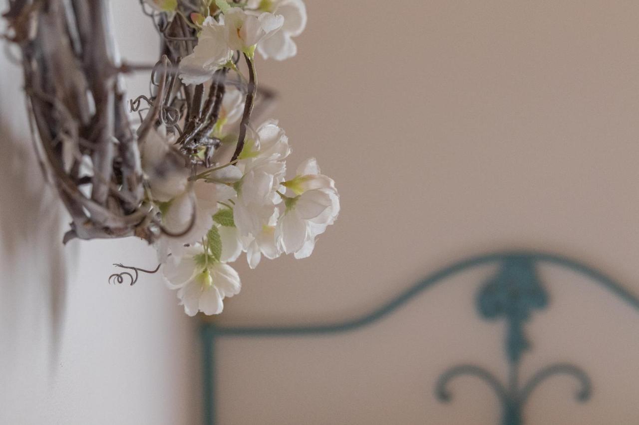 Quinta Vale Salgueiro Apartment Сейя Екстериор снимка