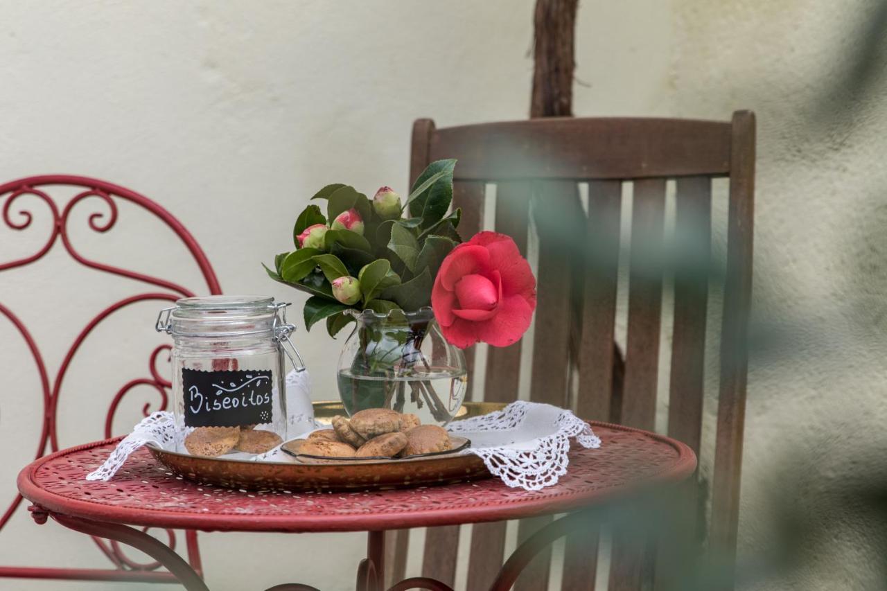 Quinta Vale Salgueiro Apartment Сейя Екстериор снимка