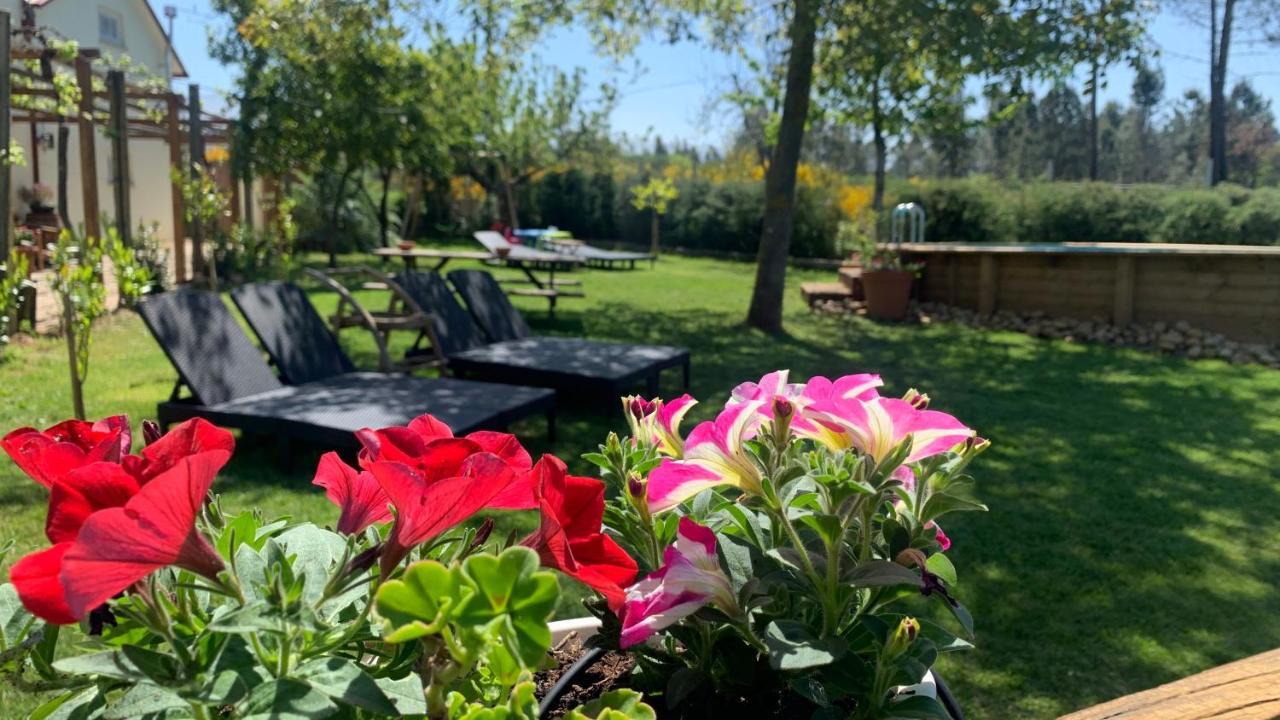 Quinta Vale Salgueiro Apartment Сейя Екстериор снимка