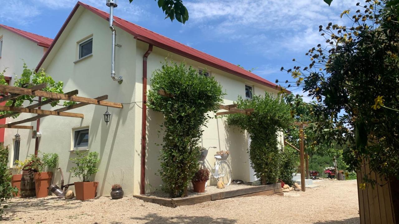 Quinta Vale Salgueiro Apartment Сейя Екстериор снимка