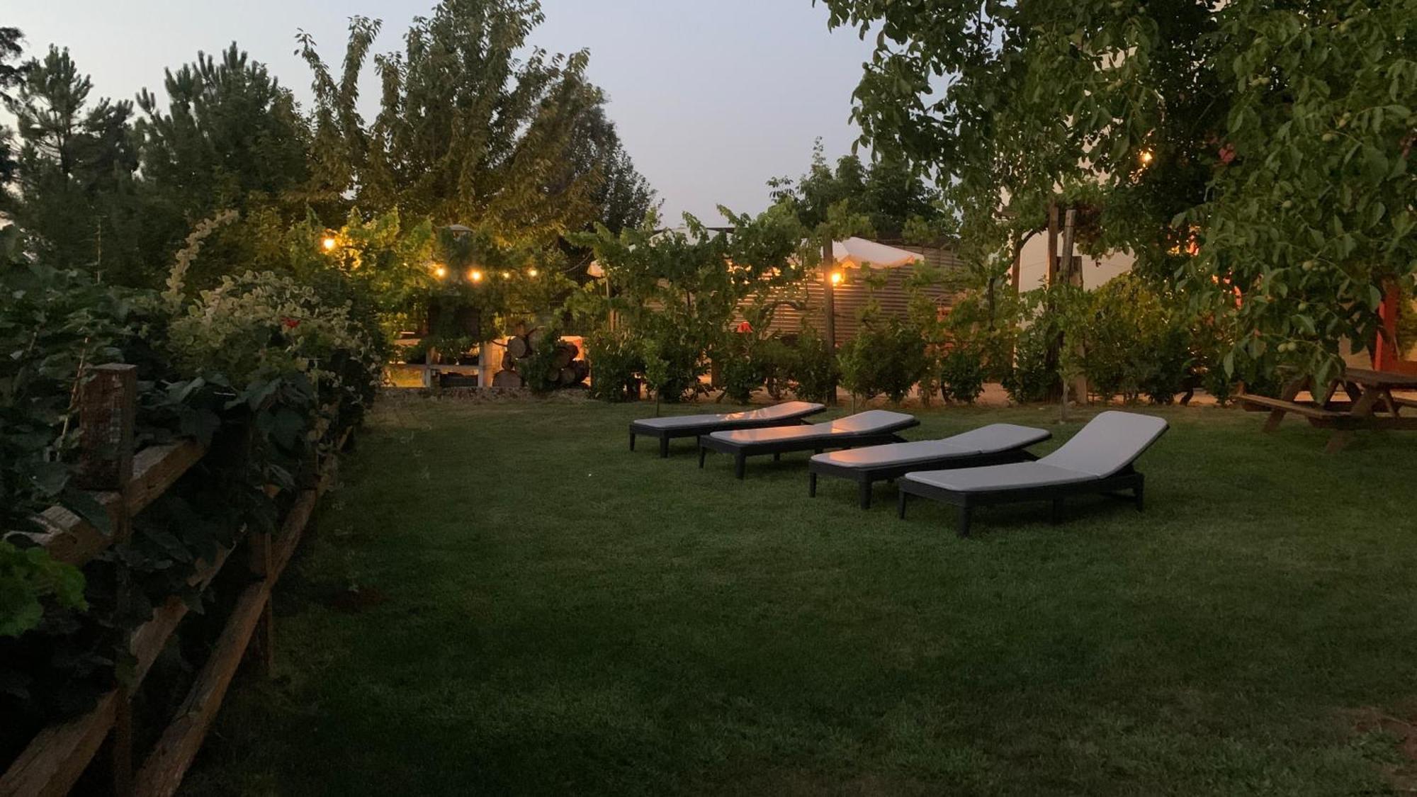 Quinta Vale Salgueiro Apartment Сейя Екстериор снимка