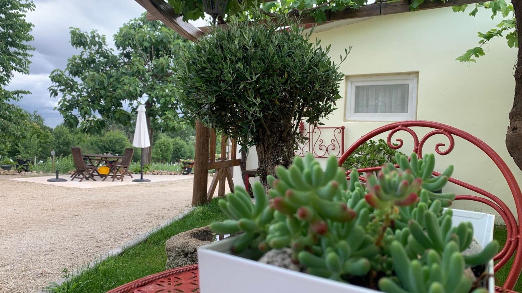 Quinta Vale Salgueiro Apartment Сейя Екстериор снимка