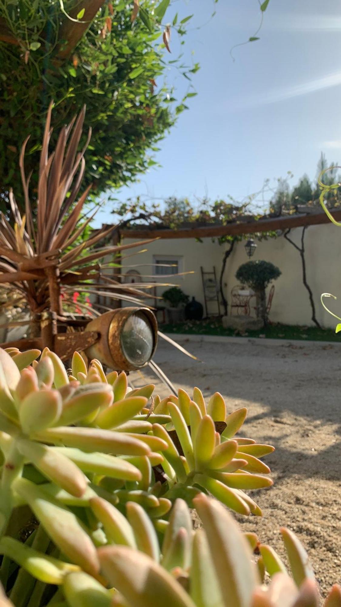 Quinta Vale Salgueiro Apartment Сейя Екстериор снимка